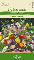 Смесь цветов Everlasting цена и информация | Семена цветов | pigu.lt