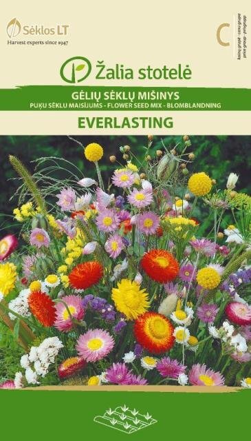 Gėlių mišinys Everlasting цена и информация | Gėlių sėklos | pigu.lt