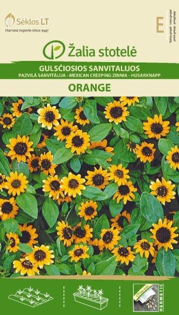 Gulsčiosios Sanvitalijos Orange цена и информация | Gėlių sėklos | pigu.lt