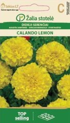 Гвоздикоцветные бархатцы Calando Lemon цена и информация | Семена цветов | pigu.lt