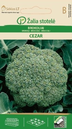 Brokoliai Cezar цена и информация | Daržovių, uogų sėklos | pigu.lt