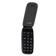 Evelatus Wave Dual SIM Black kaina ir informacija | Mobilieji telefonai | pigu.lt