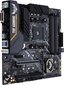 Asus TUF B450M-PRO GAMING kaina ir informacija | Vaizdo plokštės (GPU) | pigu.lt