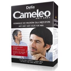 Средство для восстановления цвета волос для мужчин Delia Cosmetics Cameleo Anti Grey цена и информация | Краска для волос | pigu.lt