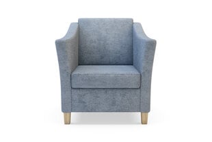Кресло Bonari, темно-серое цена и информация | Кресла в гостиную | pigu.lt