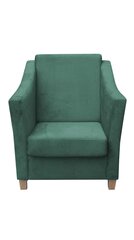 Fotelis Bonari, žalias kaina ir informacija | Svetainės foteliai | pigu.lt