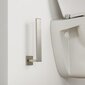 "Tiger Items" Atsarginis tualeto popierius laikiklis braižyto plieno vonios ir dušo kaina ir informacija | Vonios kambario aksesuarai | pigu.lt