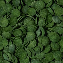 TROPICAL Green Algae Wafers - корм для аквариумных рыб - 1000 мл/450 г цена и информация | Корм для рыб | pigu.lt