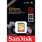 Atminties kortelė „Secure Digital Extreme“ 64GB 150 / 60MB / s V30 / UHS-I / U3 kaina ir informacija | Atminties kortelės fotoaparatams, kameroms | pigu.lt
