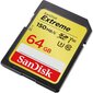 Atminties kortelė „Secure Digital Extreme“ 64GB 150 / 60MB / s V30 / UHS-I / U3 цена и информация | Atminties kortelės fotoaparatams, kameroms | pigu.lt