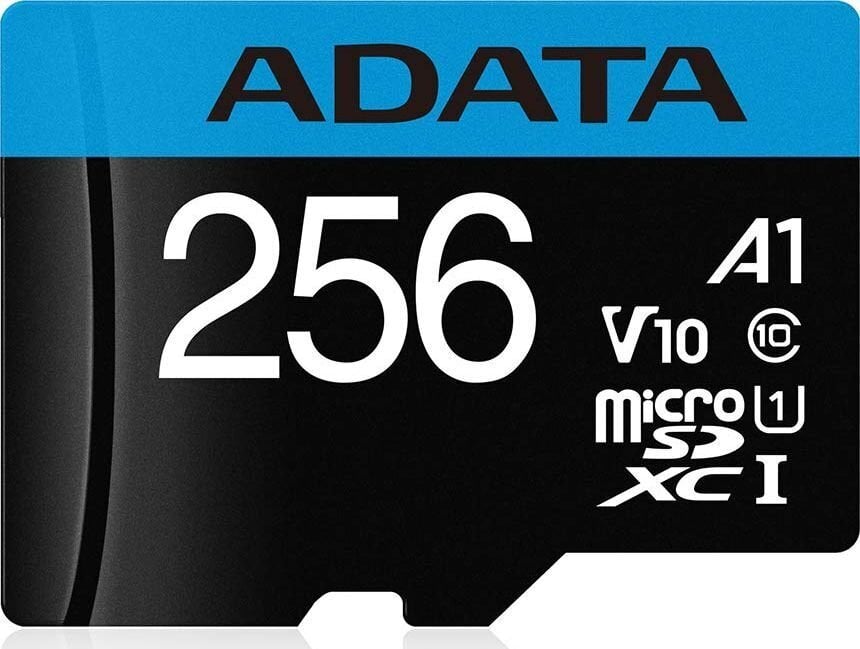ADATA AUSDX256GUICL10A1-RA1 kaina ir informacija | Atminties kortelės telefonams | pigu.lt
