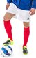 Futbolui kojinės Select Getry, 42-47, raudonos kaina ir informacija | Futbolo apranga ir kitos prekės | pigu.lt