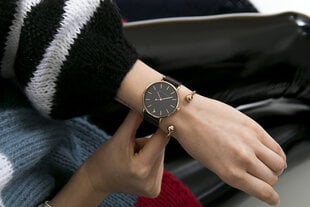 Laikrodis Emily Westwood EBN-3318 kaina ir informacija | Moteriški laikrodžiai | pigu.lt