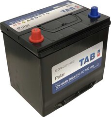 Akumuliatorius TAB Polar 60 Ah 600A 12 V kaina ir informacija | Akumuliatoriai | pigu.lt