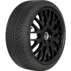 Зимние шины Michelin Pilot Alpin, 5 225/60R17 99H AO цена и информация | Зимние шины | pigu.lt