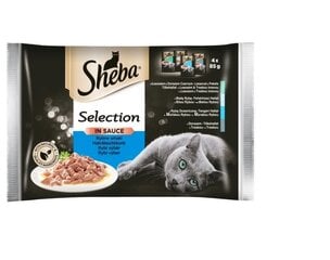 Набор Sheba Selection в соусе с рыбой, 13 х 340 г цена и информация | Консервы для кошек | pigu.lt