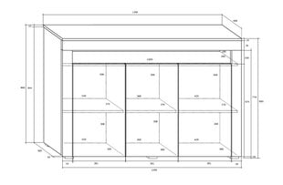 Шкафчик Sofia, белый/черный цена и информация | Шкафчики в гостиную | pigu.lt