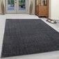 Kilimas Ata Grey, 120x170 cm kaina ir informacija | Kilimai | pigu.lt