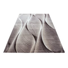 Ayyildiz kilimas Parma Brown 9310, 120x170 cm kaina ir informacija | Kilimai | pigu.lt