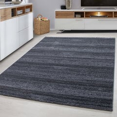 Kilimas Plus Grey 8000, 160x230 cm kaina ir informacija | Kilimai | pigu.lt