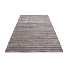 Kilimas Plus Beige 8000, 200x290 cm kaina ir informacija | Kilimai | pigu.lt