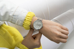 Laikrodis moterims Emily Westwood EBR-2718 kaina ir informacija | Moteriški laikrodžiai | pigu.lt