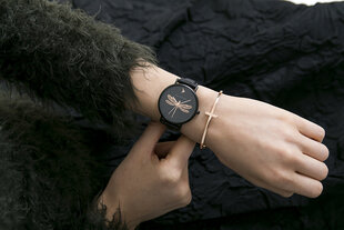 Laikrodis Emily Westwood EBS-B021B kaina ir informacija | Moteriški laikrodžiai | pigu.lt