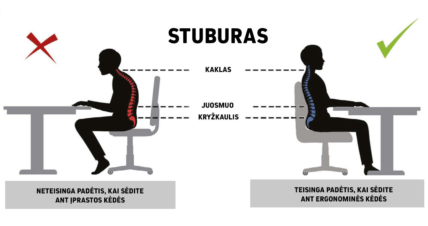 Ergonomiška vaikiška kėdė Petit AA3, raudona/balta kaina ir informacija | Biuro kėdės | pigu.lt