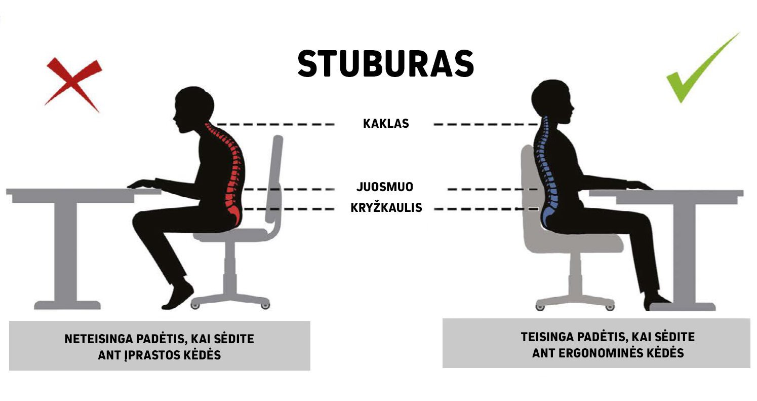 Ergonomiška vaikiška kėdė Petit AA3, juoda/spalvota цена и информация | Biuro kėdės | pigu.lt