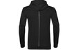 Džemperis vyrams Asics Tailored Oth Brushed Hoody kaina ir informacija | Džemperiai vyrams | pigu.lt