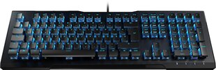 Roccat клавиатура Vulcan 80 US цена и информация | Клавиатуры | pigu.lt