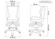 Ergonomiška vaikiška kėdė Petit AB3, juoda/mėlyna kaina ir informacija | Biuro kėdės | pigu.lt