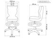 Ergonomiška vaikiška kėdė Petit AB3, rožinė/balta цена и информация | Biuro kėdės | pigu.lt