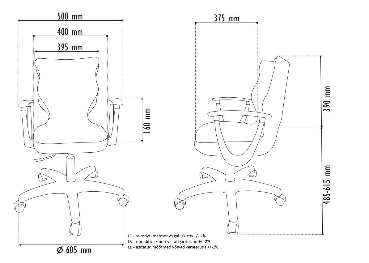 Ergonomiška vaikiška kėdė Petit BA5, žalia цена и информация | Biuro kėdės | pigu.lt