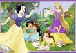 Dėlionė Ravensburger Disney Princess (Disnėjaus Princesės), 7620, 2 x 12 d. kaina ir informacija | Dėlionės (puzzle) | pigu.lt