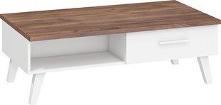 Кофейный столик Nordis 2D, коричневый/белый цена и информация | Журнальные столы | pigu.lt