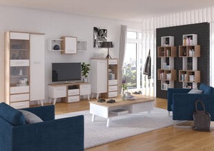 TV staliukas Nordis 3D, ąžuolo/baltos spalvos kaina ir informacija | TV staliukai | pigu.lt