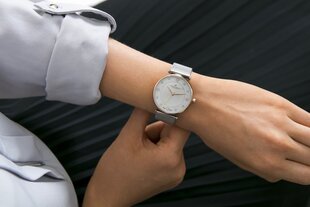 Часы Frederic Graff FBS-2518 цена и информация | Женские часы | pigu.lt
