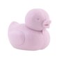 Muilas IDC Institute Beauty Items Duck Soap 70 g kaina ir informacija | Muilai | pigu.lt