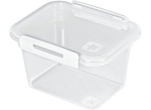 Герметичный пищевой контейнер Rotho Memory 0,85 Л цена и информация | Посуда для хранения еды | pigu.lt
