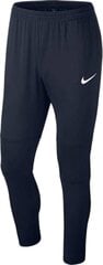 Спортивные брюки для мужчин Nike, AA2086 451 цена и информация | Мужские термобрюки, темно-синие, SMA61007 | pigu.lt