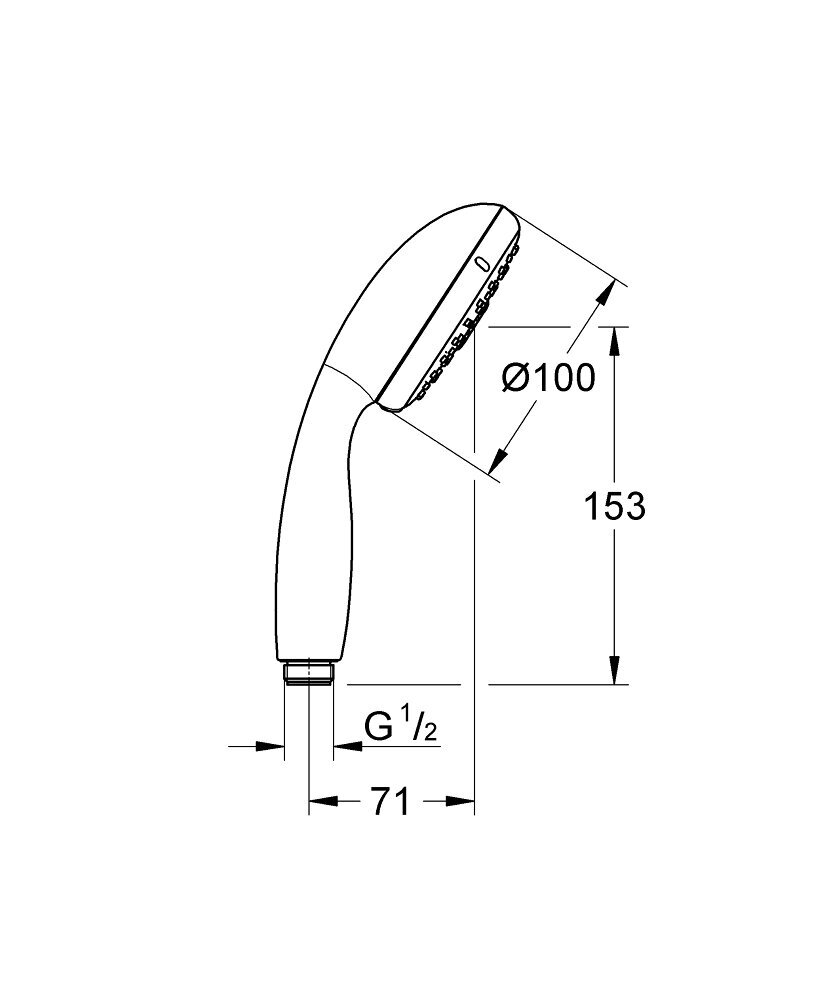 Grohe New Tempesta 100 rankinis dušas su trimis skirtingomis srovėmis 28261002 цена и информация | Maišytuvų ir dušų priedai | pigu.lt