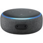 Amazon Echo Dot 3, Juoda internetu
