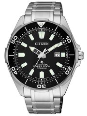 Мужские часы Citizen BN0200-81E цена и информация | Мужские часы | pigu.lt