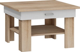 Кофейный столик Omega, дубового/белого цвета цена и информация | Журнальные столы | pigu.lt