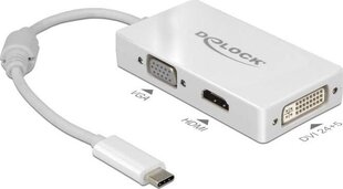 Delock 63924 цена и информация | Адаптеры, USB-разветвители | pigu.lt