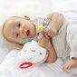 Muzikinis pakabinamas žaislas - Debesis, 60133 kaina ir informacija | Žaislai kūdikiams | pigu.lt
