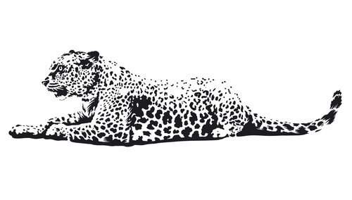 Vaikiškas interjero lipdukas Leopardas цена и информация | Interjero lipdukai | pigu.lt