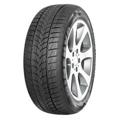 Minerva FROSTRACK UHP 215/50R17 95 V XL цена и информация | Зимняя резина | pigu.lt