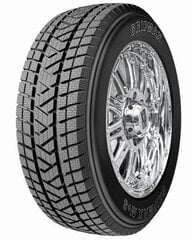 Gripmax STATURE MS 255/65R17 110 H kaina ir informacija | Žieminės padangos | pigu.lt